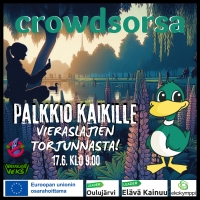 Kainuussa ja Vaalassa torjutaan vieraslajeja mobiilipelin avulla