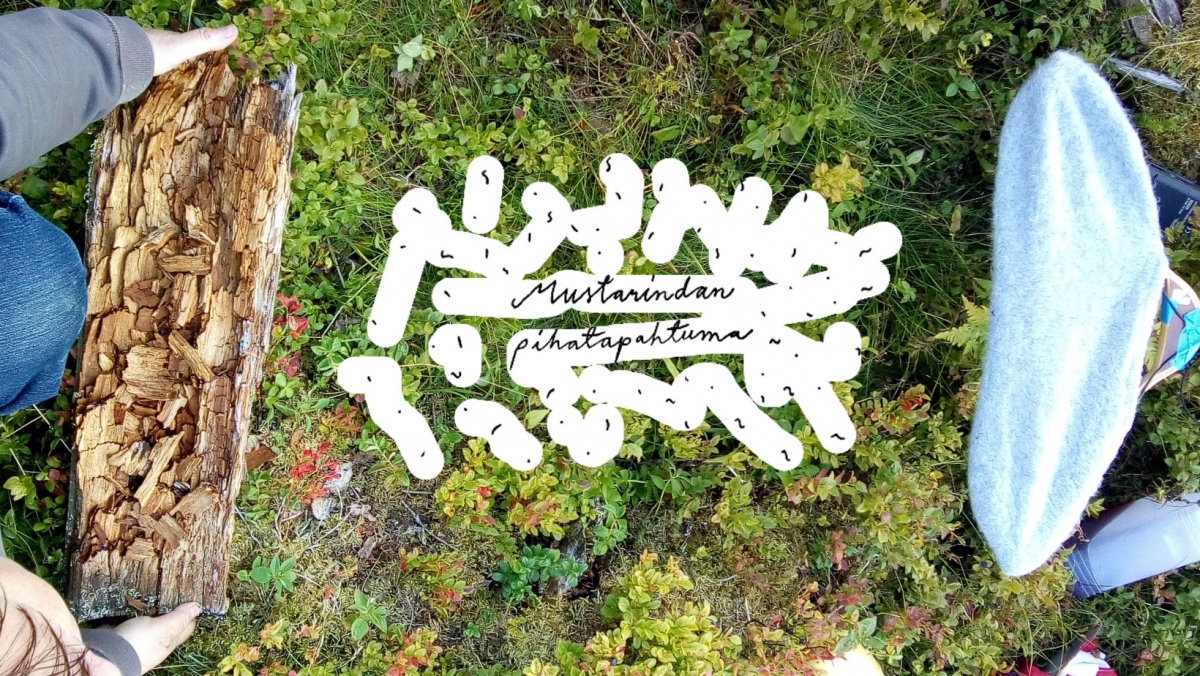 MUSTARINDAN PIHATAPAHTUMA 18.8.2021